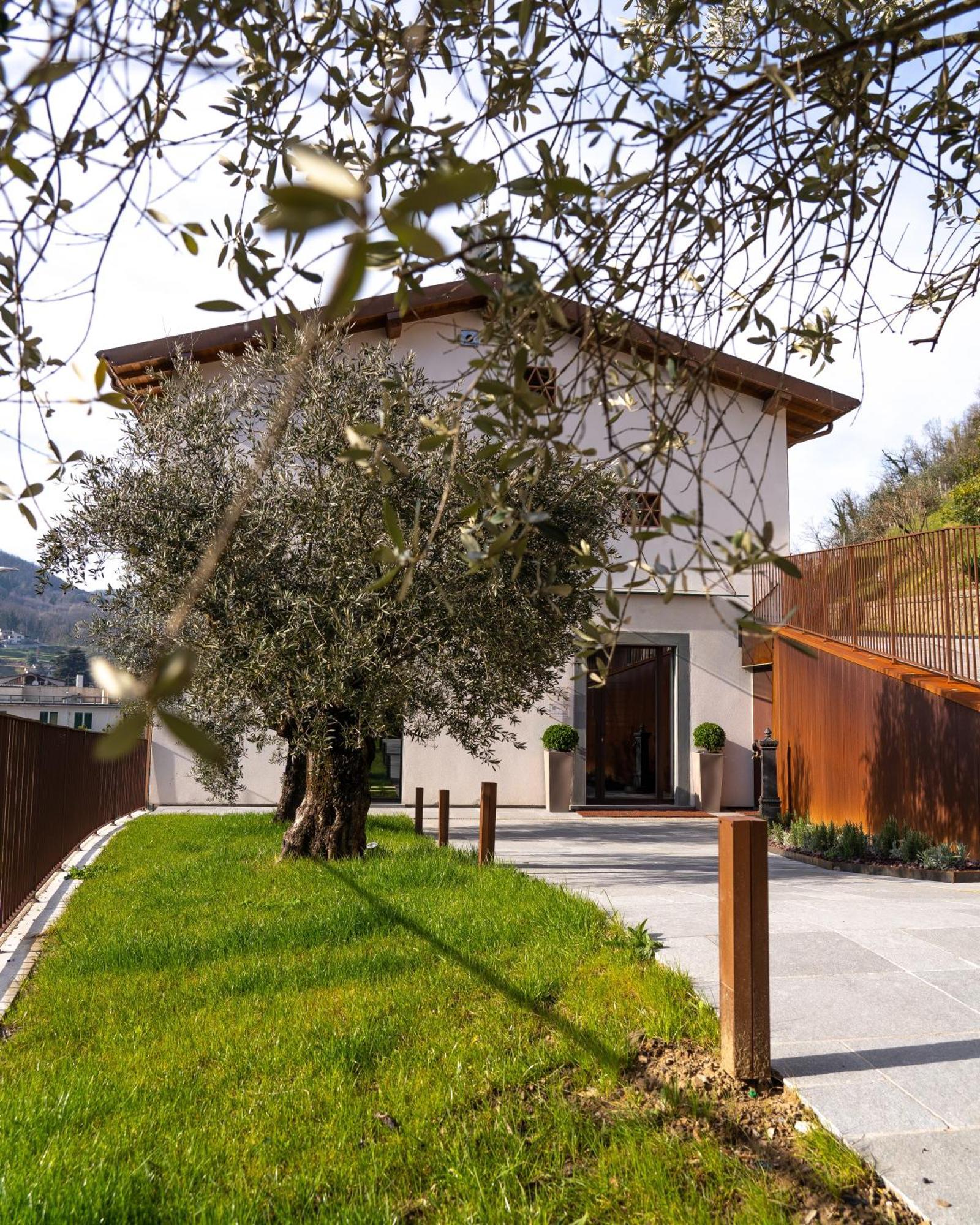 Il Pradicciolo Agriturismo 카스텔누보디가프라냐나 외부 사진